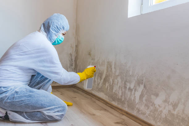 Licensed Mold Remediation service in Rolesville, NC - 24 Hour Mold Removal