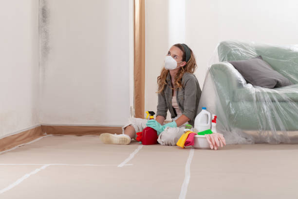 Reliable Mold Remediation contractor in Rolesville, NC by 24 Hour Mold Removal